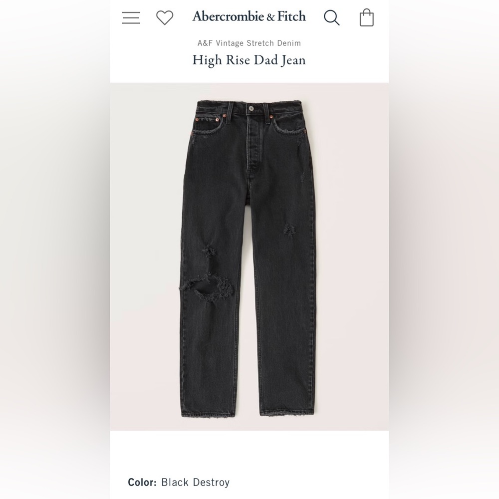 High Rise Dad Jean Abercrombie NWT 4 short